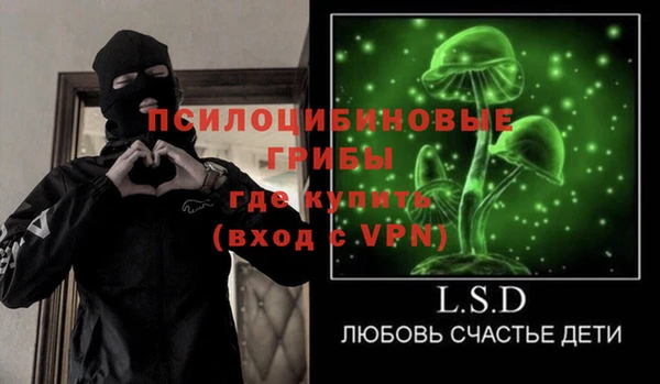 СК Вяземский