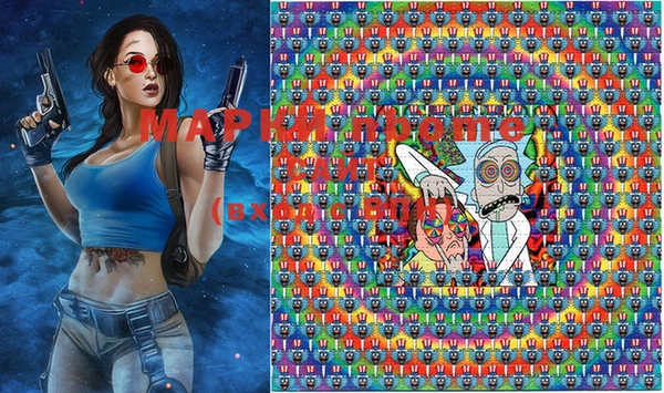 стафф Вязьма