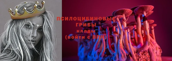 стафф Вязьма