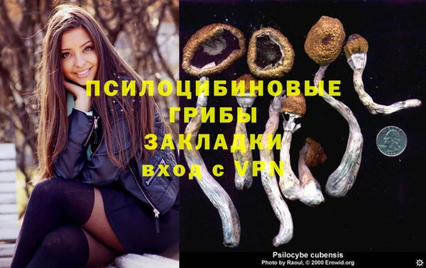 СК Вяземский
