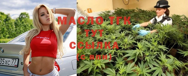 стафф Вязьма