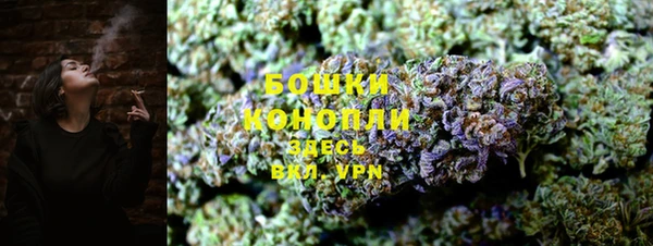 гидра Вязники
