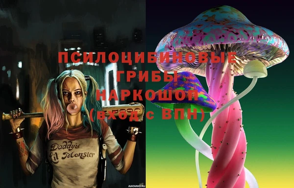 гидра Вязники