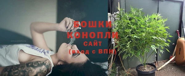 стафф Вязьма