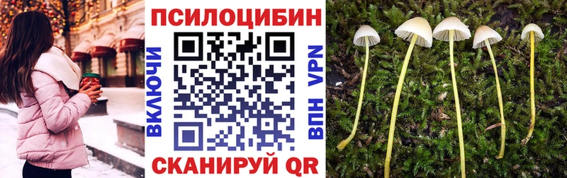 купить   Избербаш  Галлюциногенные грибы мухоморы 